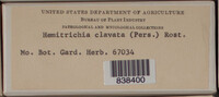 Image Associated With the Occurence